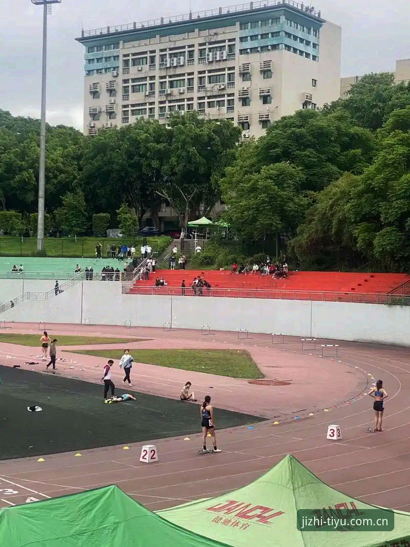 完美体育专业平台怎么下载：技术评测与操作详解